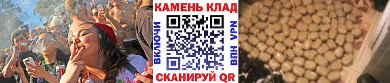 Гашиш индика сатива  купить   площадка наркотические препараты  Болгар 