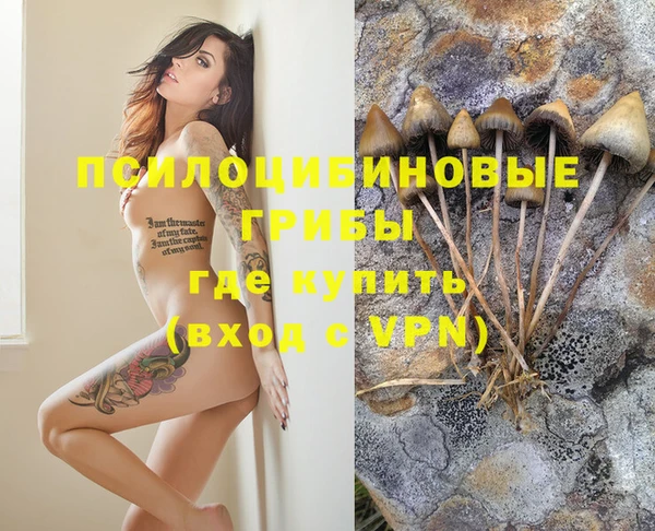 a pvp Аркадак