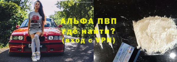 гашик Арсеньев