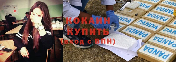 гашик Арсеньев
