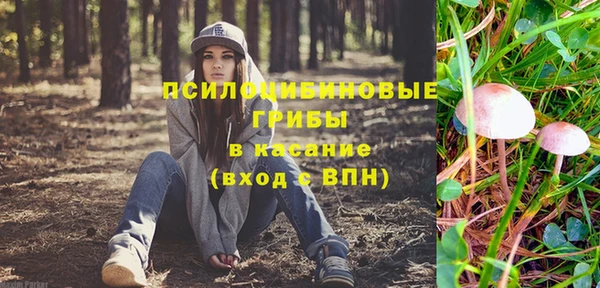 a pvp Аркадак